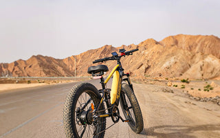 What Is the Best Electric Bike? Explore Top Picks From CYCROWN