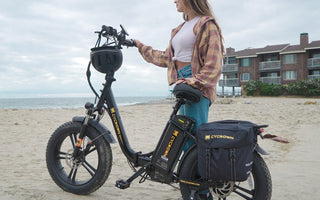 Meet CycFree Electric Bike