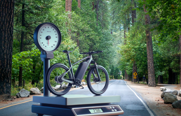 How Much Does an Electric Bike Weigh