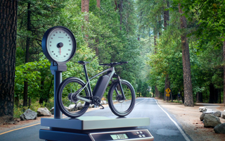 How Much Does an Electric Bike Weigh