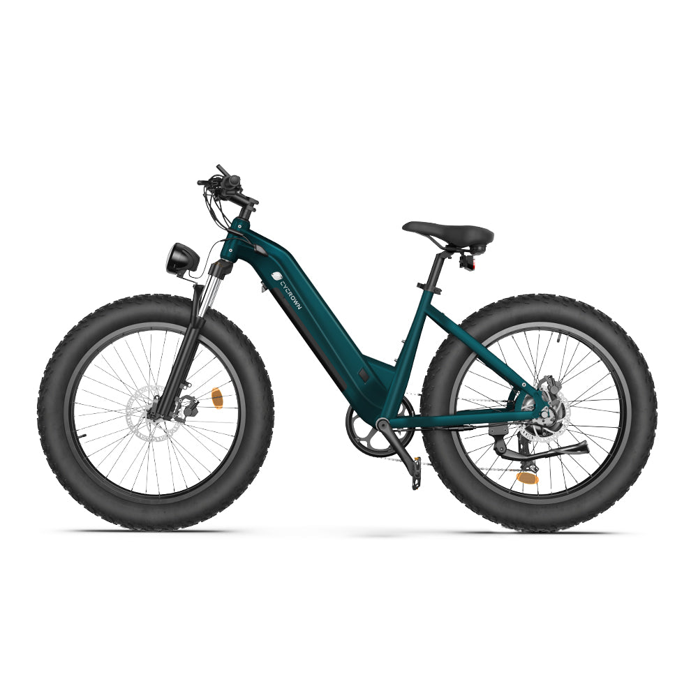 CycVerve All-terrain Electric Bike