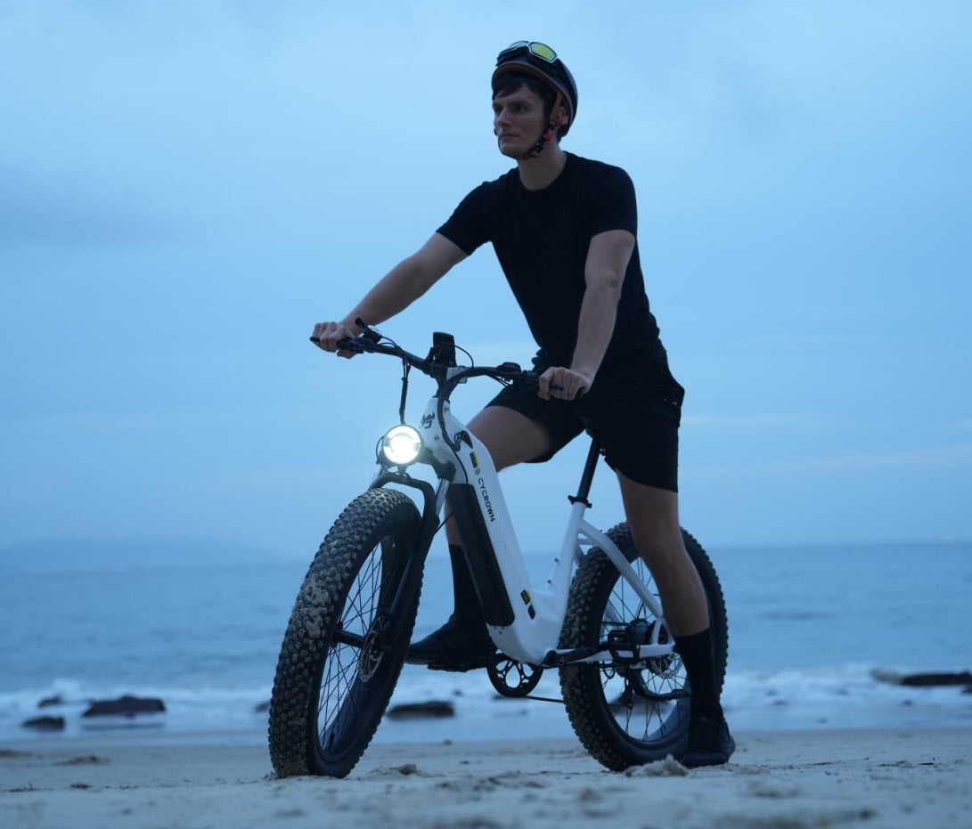 CycVerve All-terrain Electric Bike