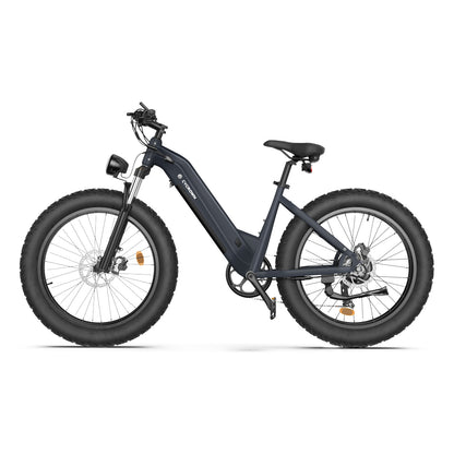 [1000W] CycVerve All-terrain Electric Bike