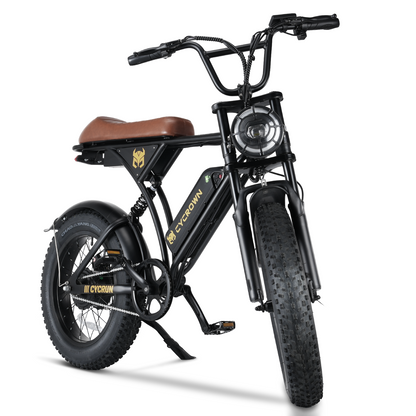 CycRun Vintage Moped Electric Bike